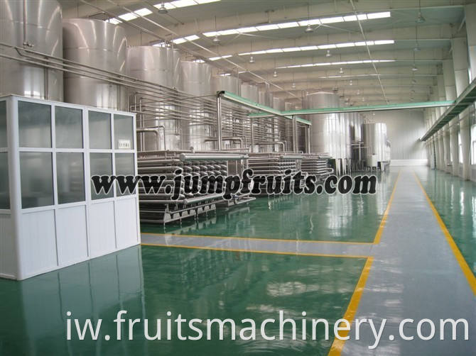 fresh fruit sorting machine